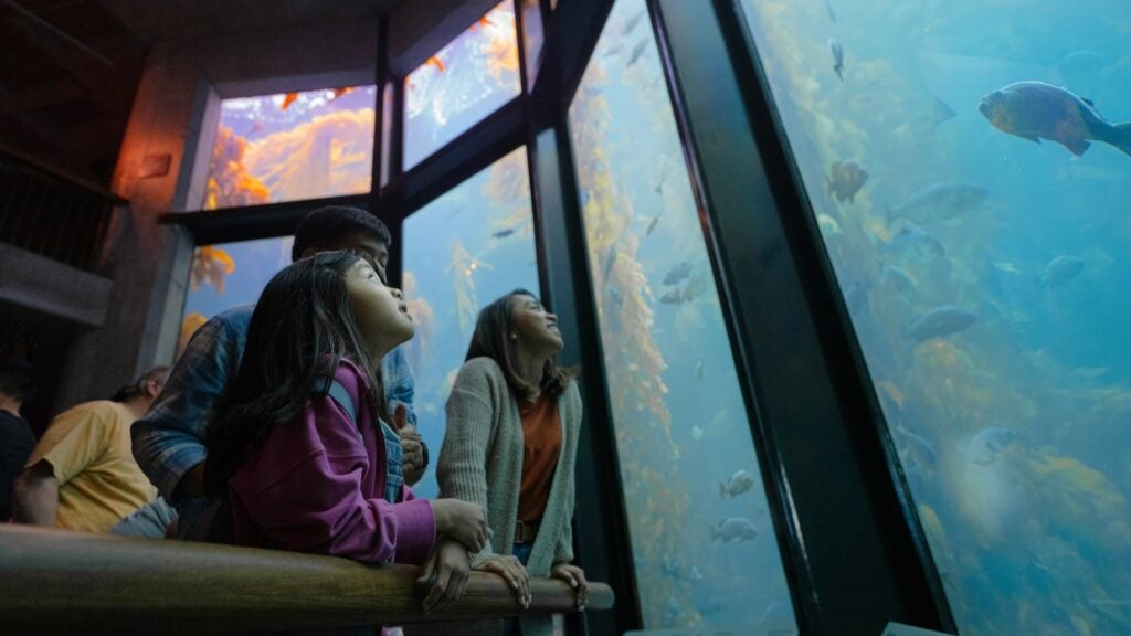 11 Best US Aquariums for Your Next Family Vacation  Mommy Poppins - Things  To Do in Anywhere with Kids