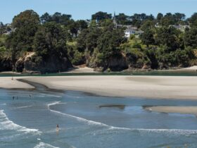 view of Big River Beach with town of Mendocino in background