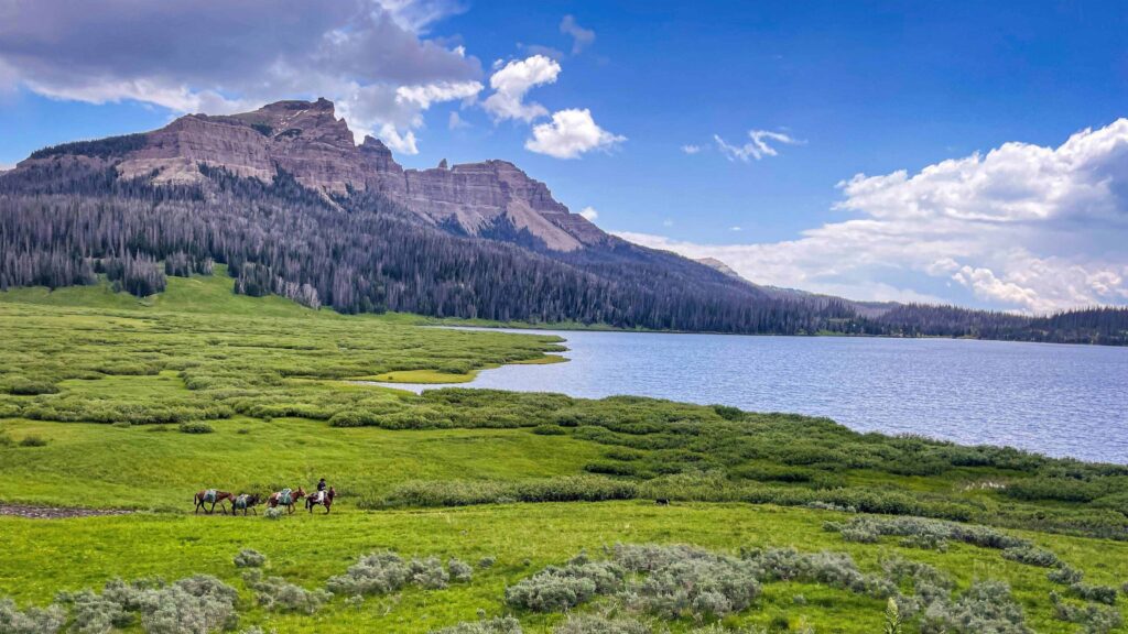 Horses by a lake and mountains at Brooks Lake Lodge