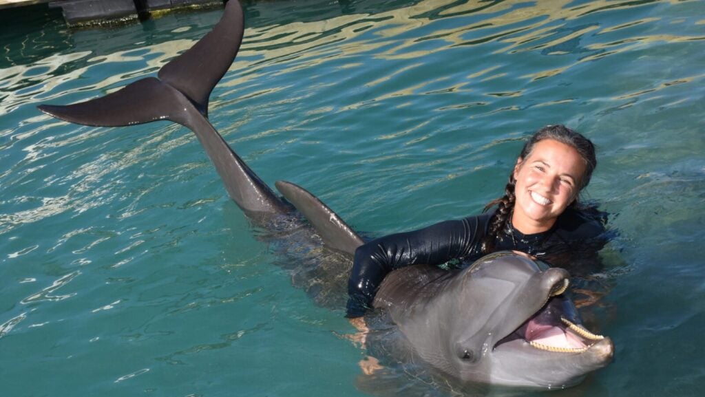 Dolphin with trainer at Hawks Cay Resort (Photo: Hawks Cay Resort)