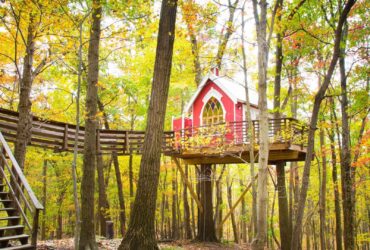 Little Red Treehouse at the treehouse hotel The Mohicans