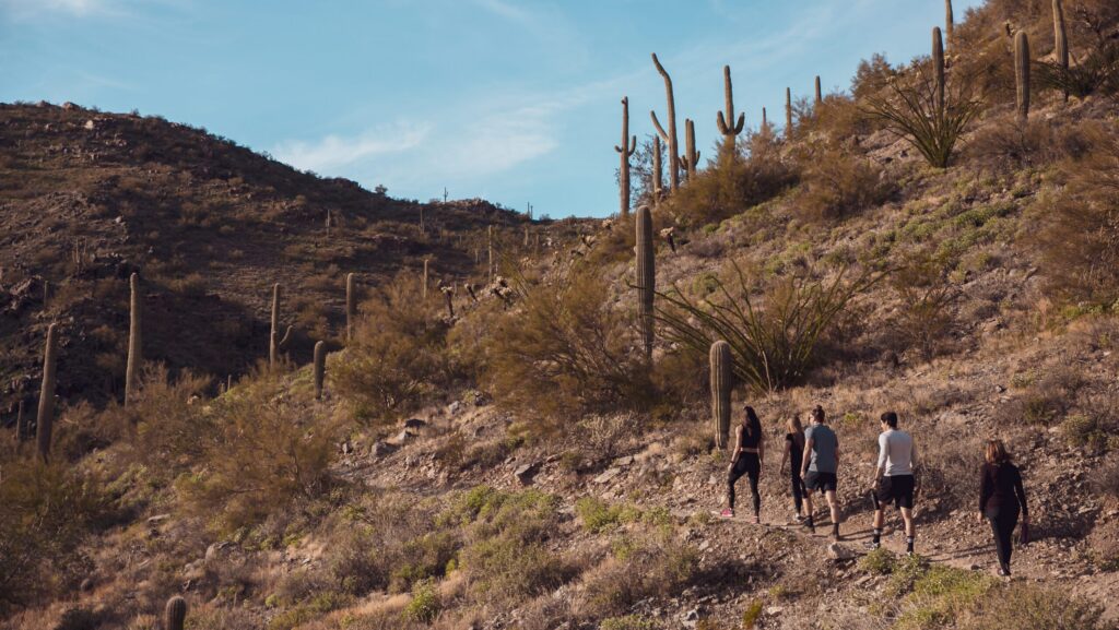 A group of people hiking near mountains and cacti in Scottsdale