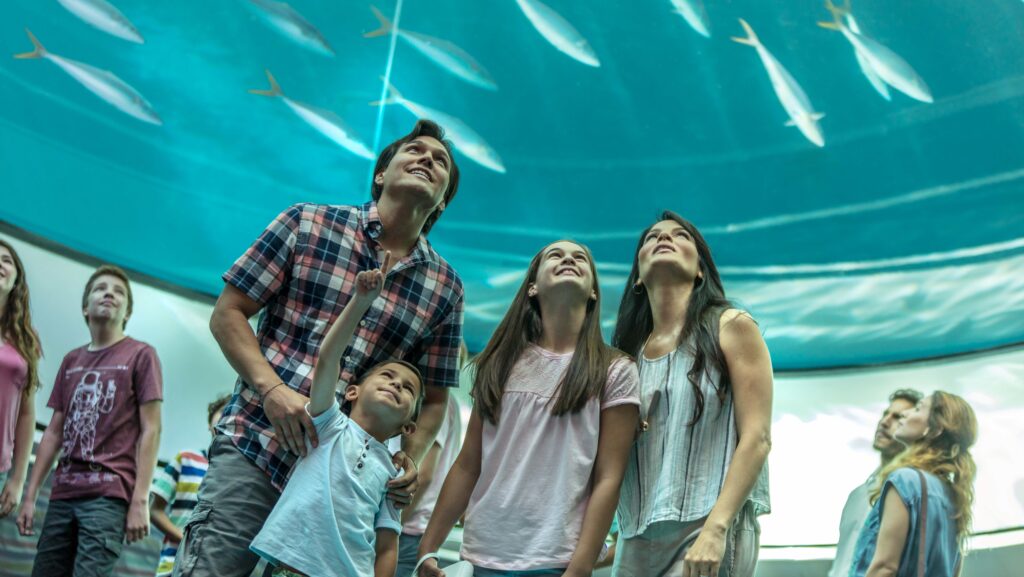 A family looking up at fish swimming overhead in the aquarium at the Frost Science Center