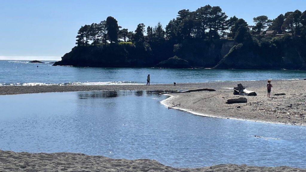 view of Van Damme State Beach near Little RIver Inn