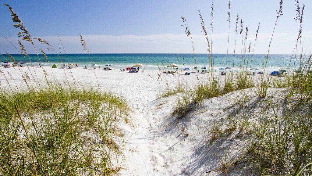 A path through the dunes leading to a white sand beach in South Walton