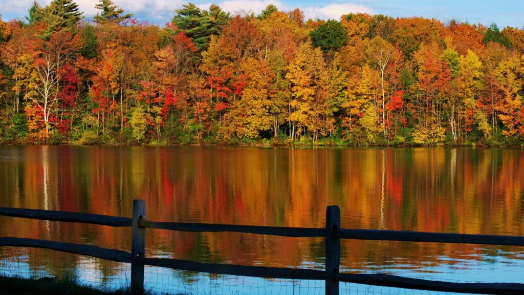 Fall foliage in the Berkshires (Photo: Patrick Barry)