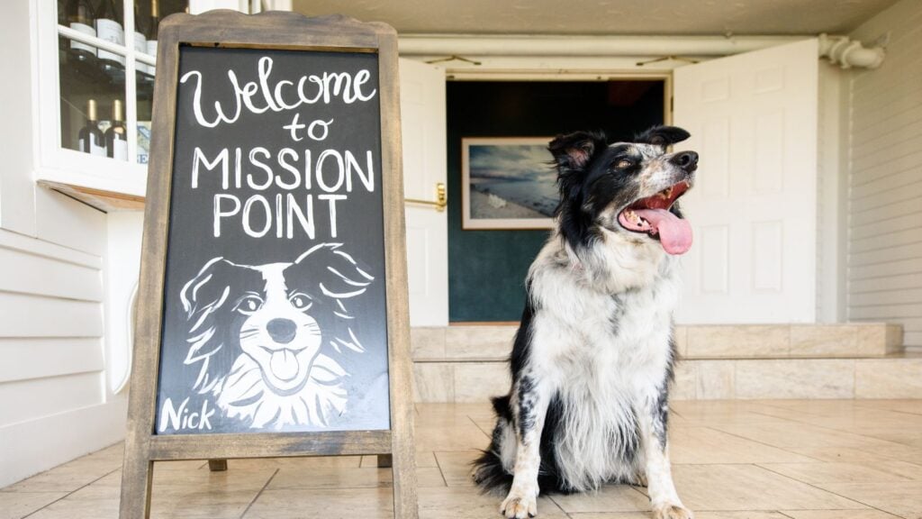Mission Point Resort is the only dog-friendly hotel on Mackinac Island (Photo: Mission Point Resort)