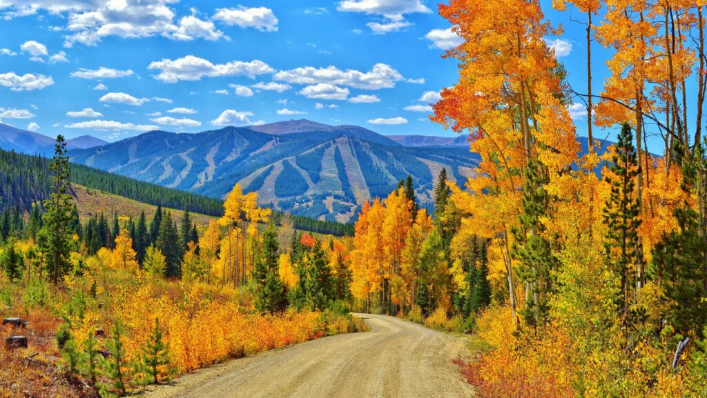 A fall view of Rollins Pass in Grand County, Colorado with colorful trees and a mountain in the distance