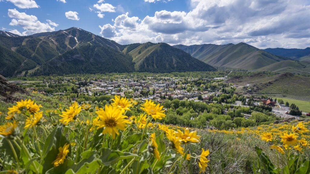 view of Ketchum, Idaho with flowers and mountains
