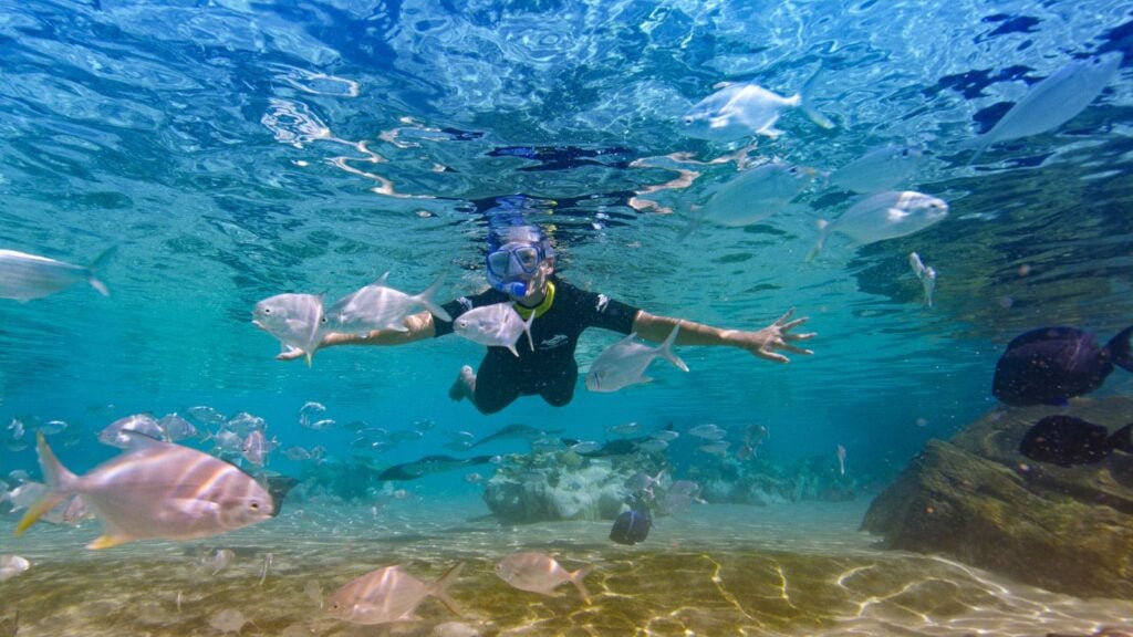 Snorkling at Discovery Cove in Orlando (Photo: Discovery Cove Orlando)
