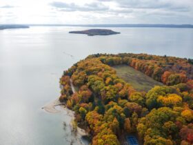 Michigan fall color