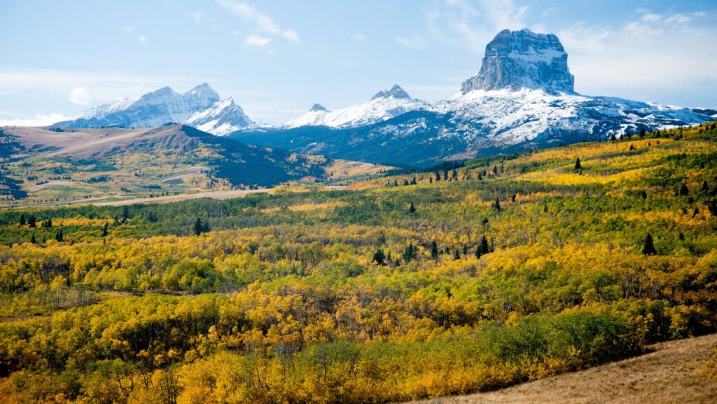 A view of tress and mountains at Glacier National Park in the fall