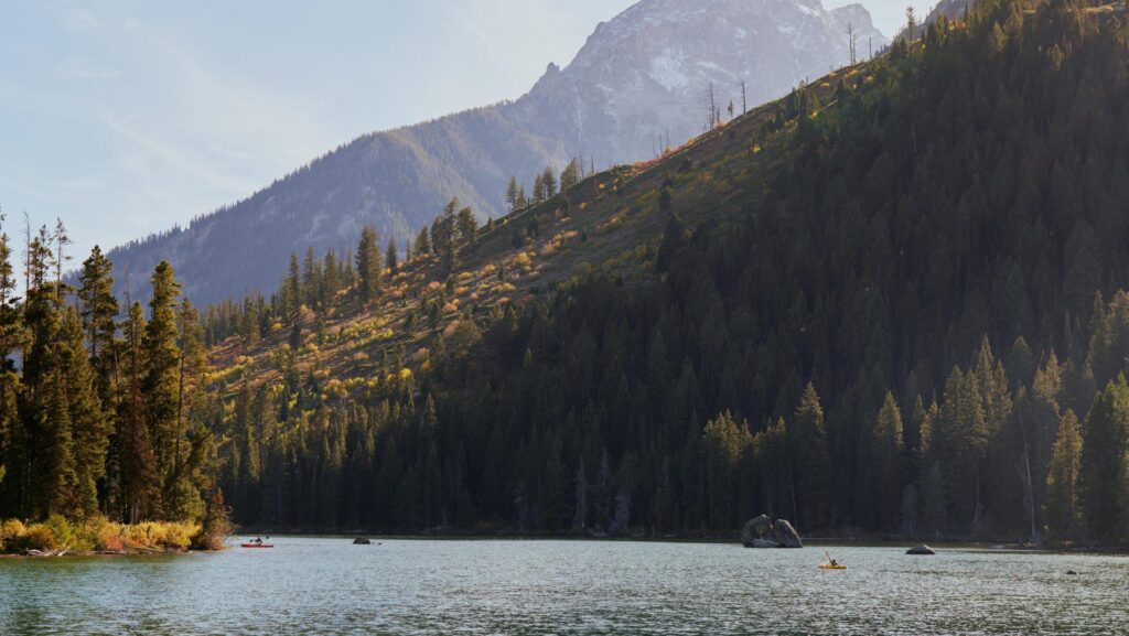 People kayaking in a lake during fall at Grand Teton National Park