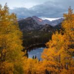 Trees with yellow fall leaves by a lake in Rocky Mountain National Park