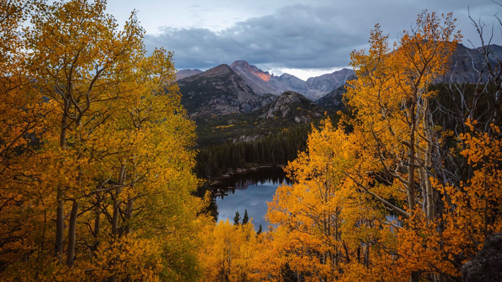 Trees with yellow fall leaves by a lake in Rocky Mountain National Park