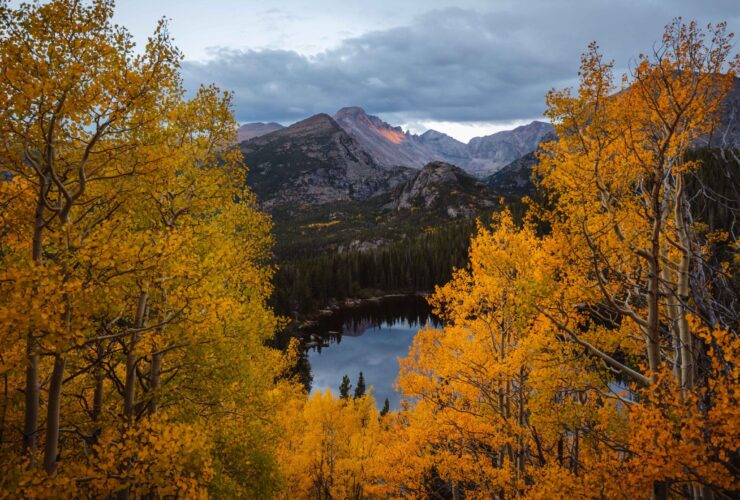 Trees with yellow fall leaves by a lake in Rocky Mountain National Park