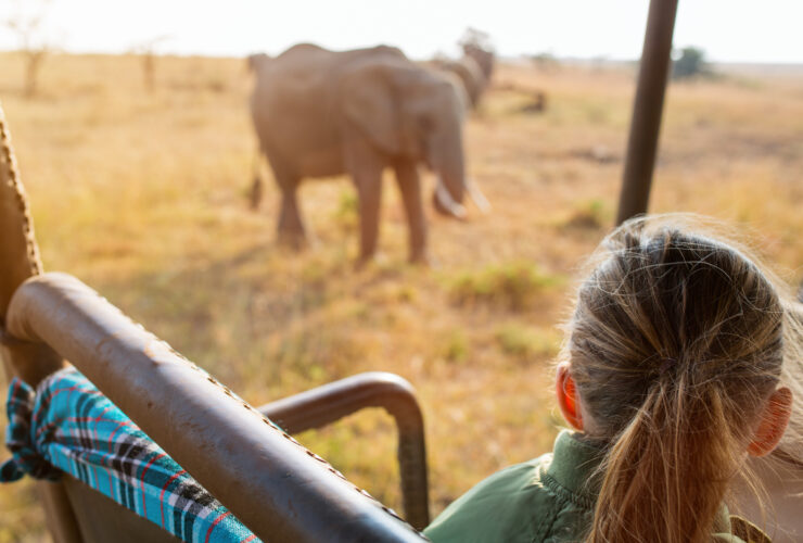 Child in Kenya safari on morning game drive in open vehicle