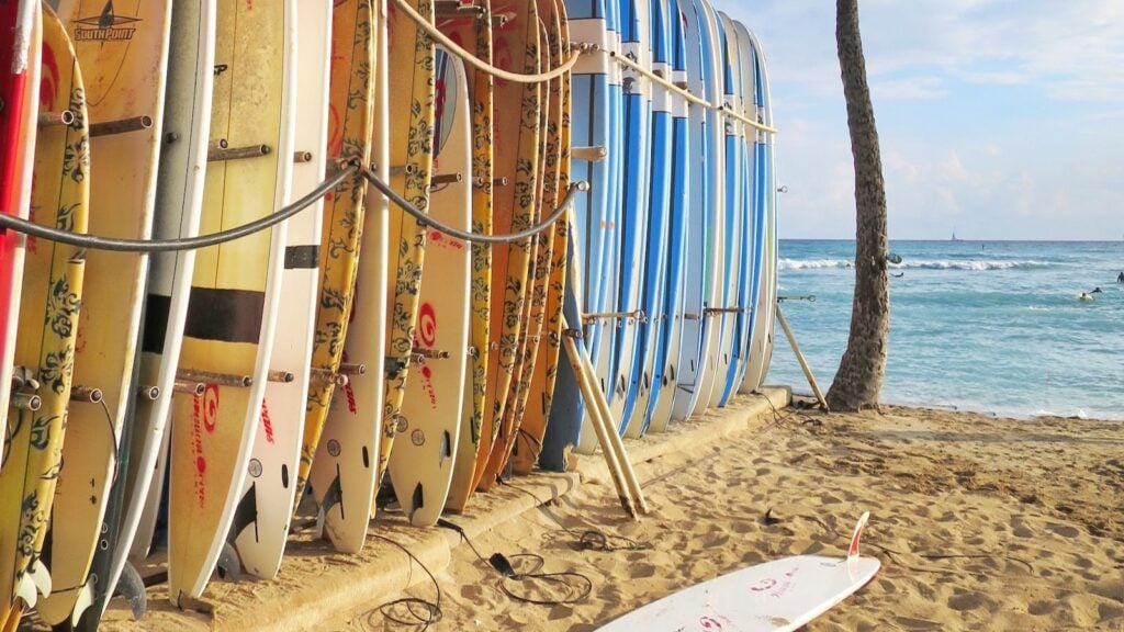 Surfboards lined up on Oahu beach