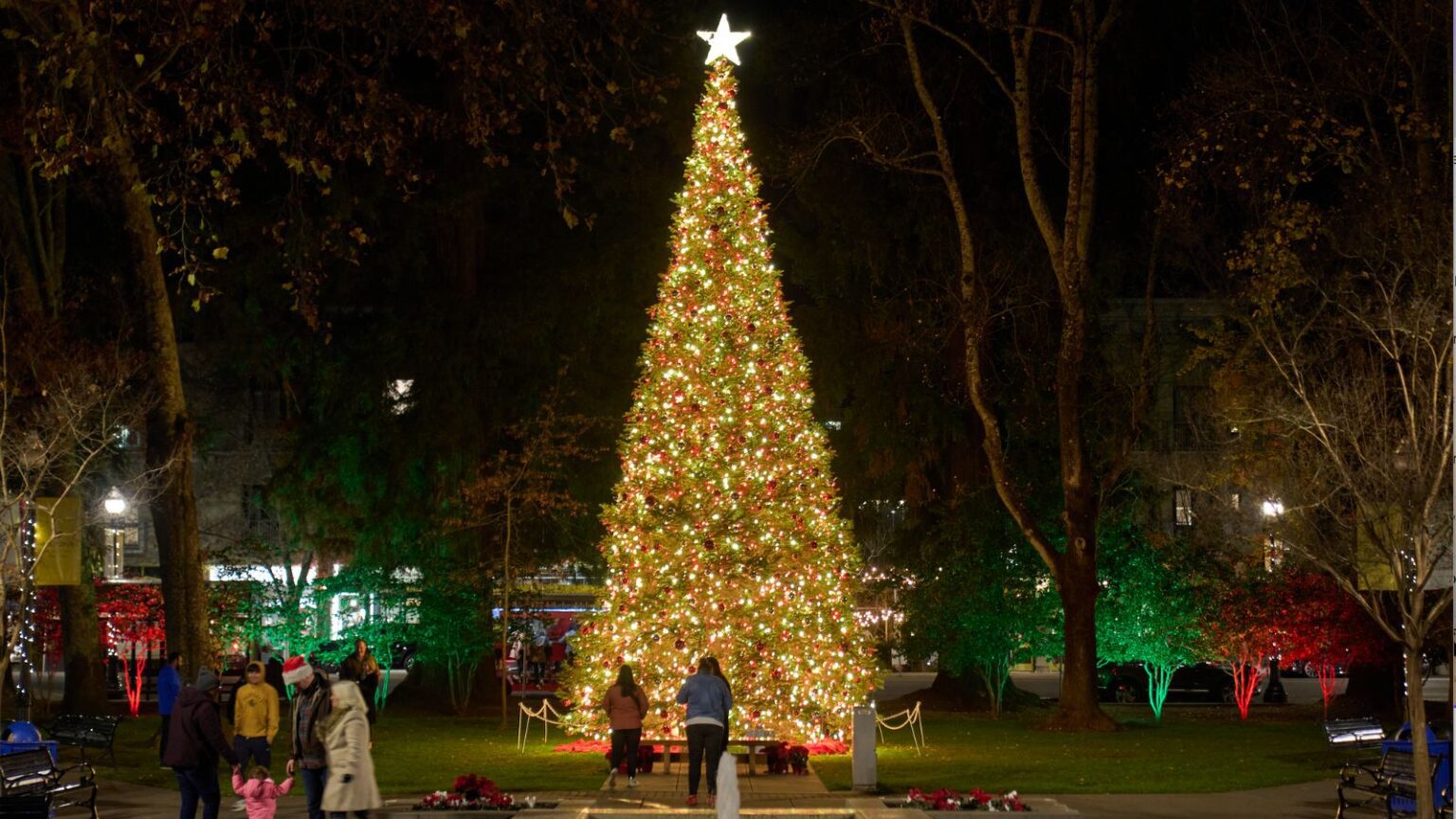 Christmas Family Resorts Near Me: 29 Festive Spots Across the U.S ...