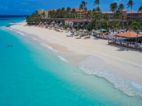 Divi Aruba Beach Overview