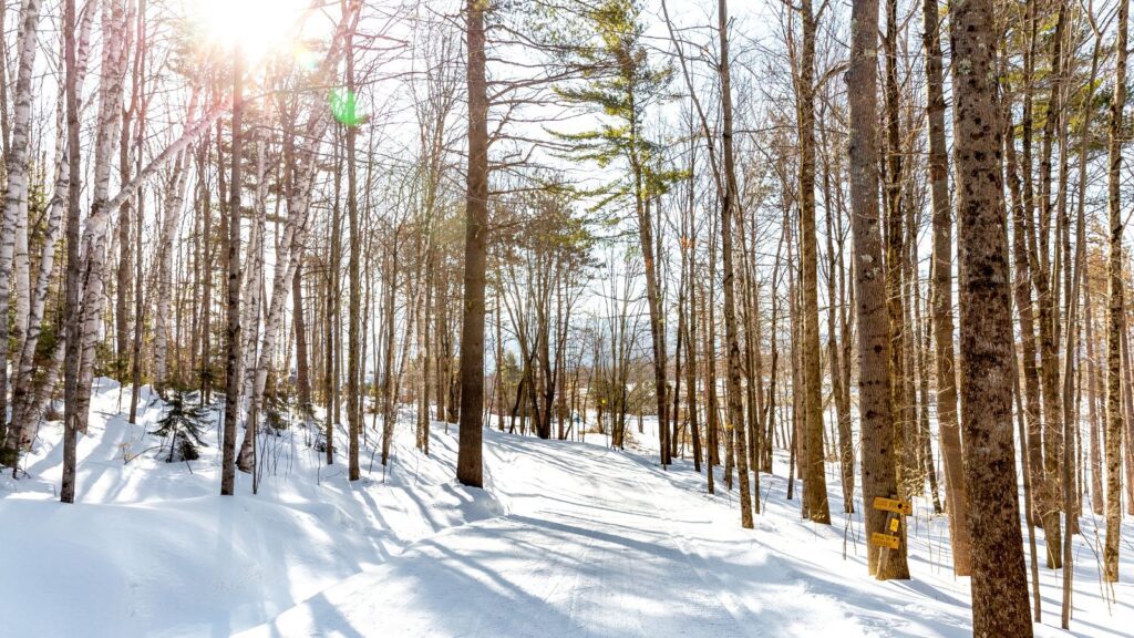 Forty miles of groomed trails make the Trapp Family Lodge a good pick for cross-country skiing beginners (Photo: Trapp Family Lodge)