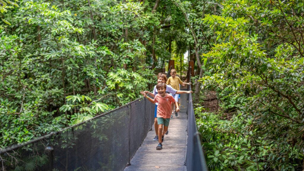 Kids running across a rope bridge at a resort in Playa del Carmen