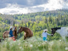 A mom and child visiting with horses at Vista Verde Guest Ranch