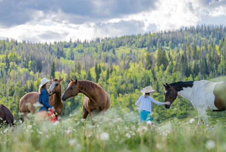 A mom and child visiting with horses at Vista Verde Guest Ranch