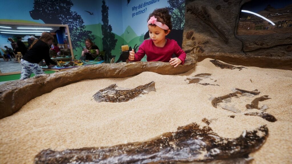 A child plays in the fossil pit at the Museum of Natural History. Photo courtesy Museum of Natural History