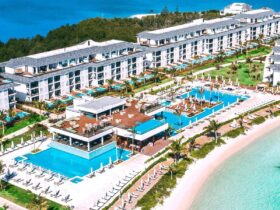 An aerial view of pools and the beach at Excellence Oyster Bay
