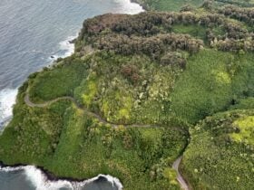 aerial view of the Hana Highway on Maui