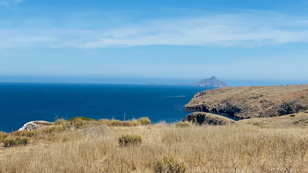 Channel Island National Park; view of island and Pacific