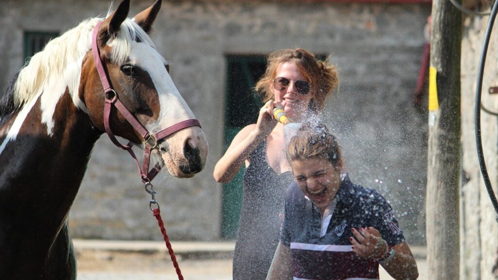 Horse enthusiasts of all ages should head to Ireland's spectacular Cashel Palace (Photo: Cashel Palace)