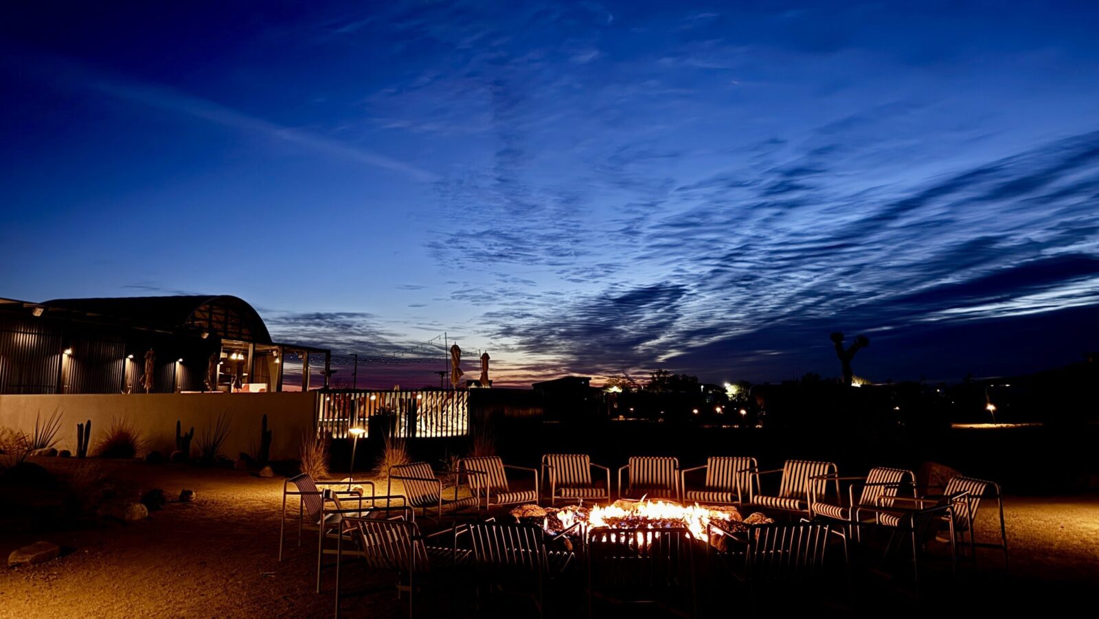 evening view of glamping resort AutoCamp in Joshua tree with silhouette of joshua trees and cactuses in background