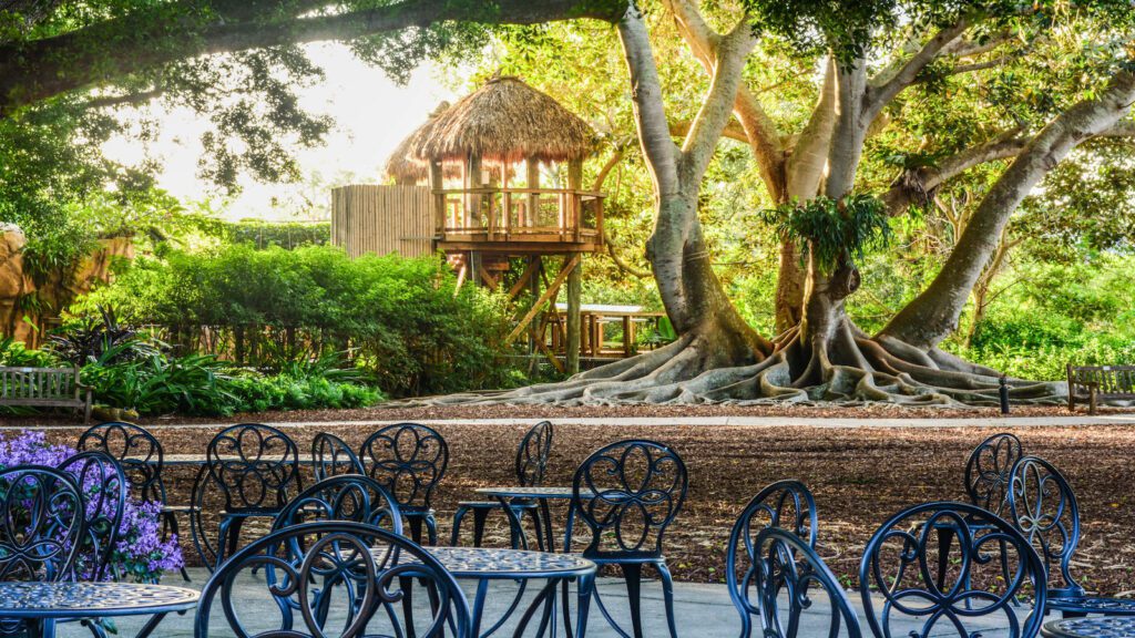 Thatched roof tree house nestled in lush foliage, adjacent to big banyan tree, with decorative tables and chairs in the forefront