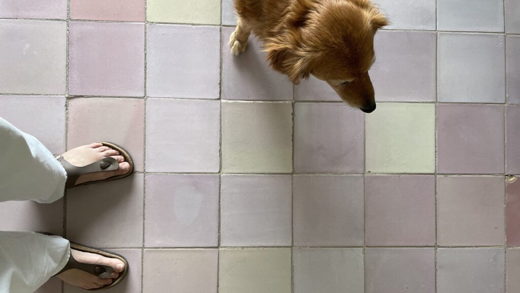 tile floor and dog at Santavenere Hotel in Italy