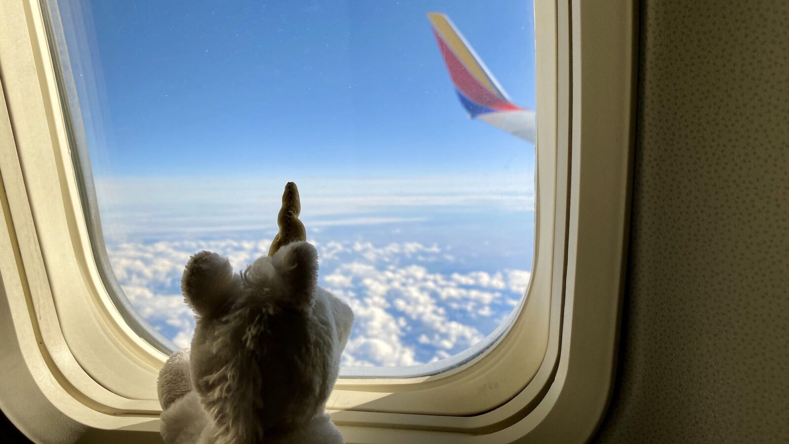 stuffed animal unicorn looking out window of Southwest Airlines airplane