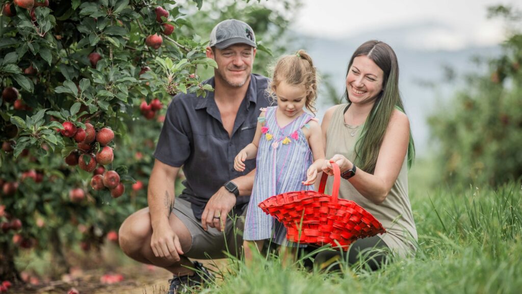 A mom, dad, and child apple picking in Ellijay, GA