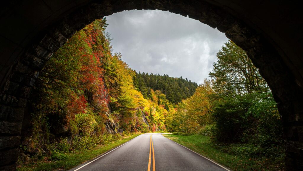 A view of fall foliage through a tunnel on the Blue Ridge Parkway