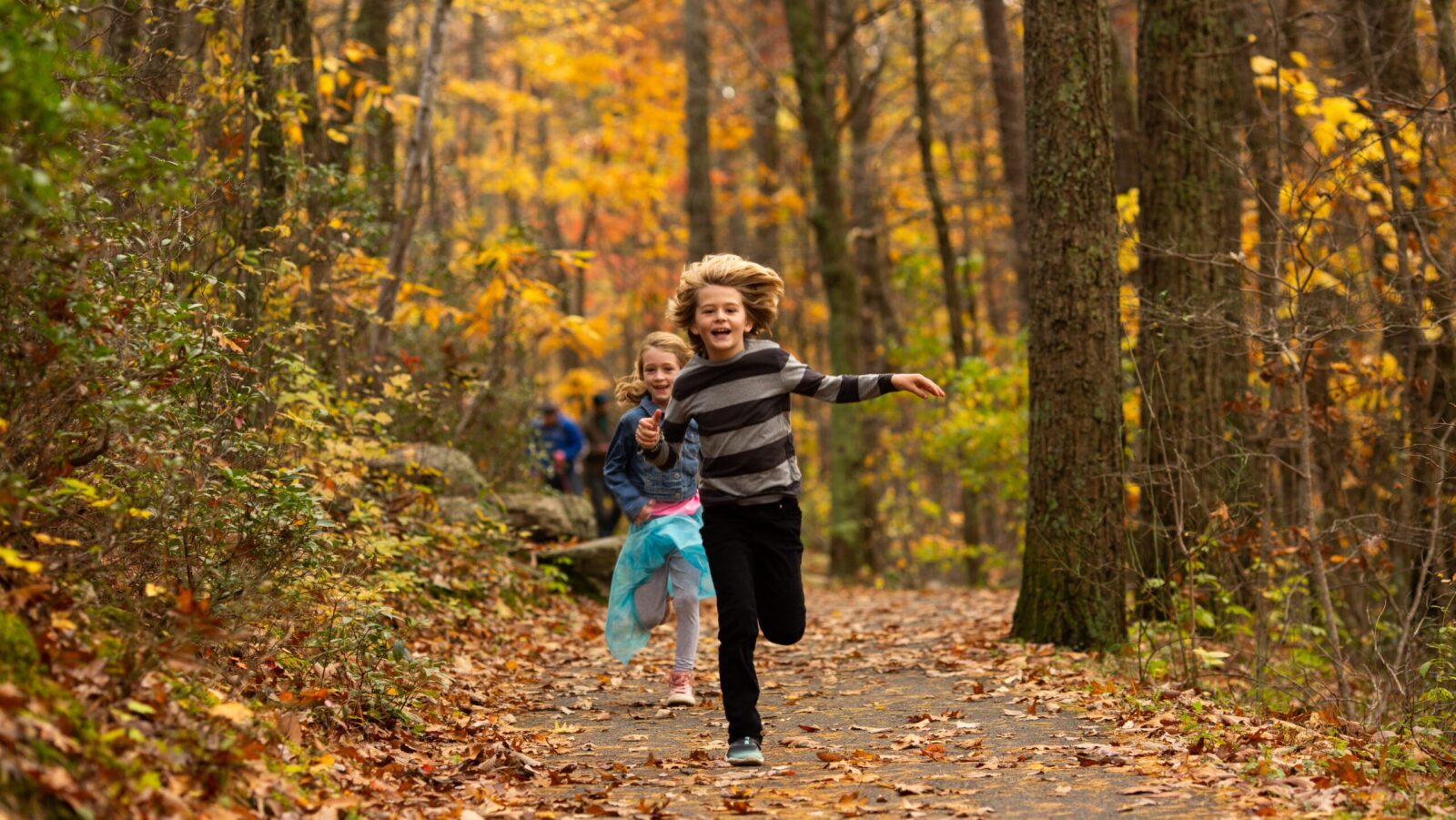 Kids running on a path through the woods during the fall