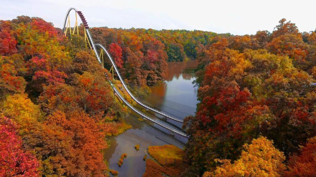 A rollercoaster amid fall leaves at Busch Gardens Williamsburg