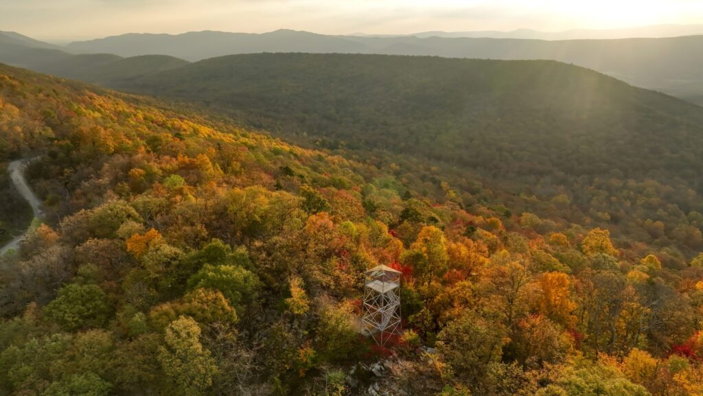The Woodstock Tower in Shenandoah County, VA amid fall foliage