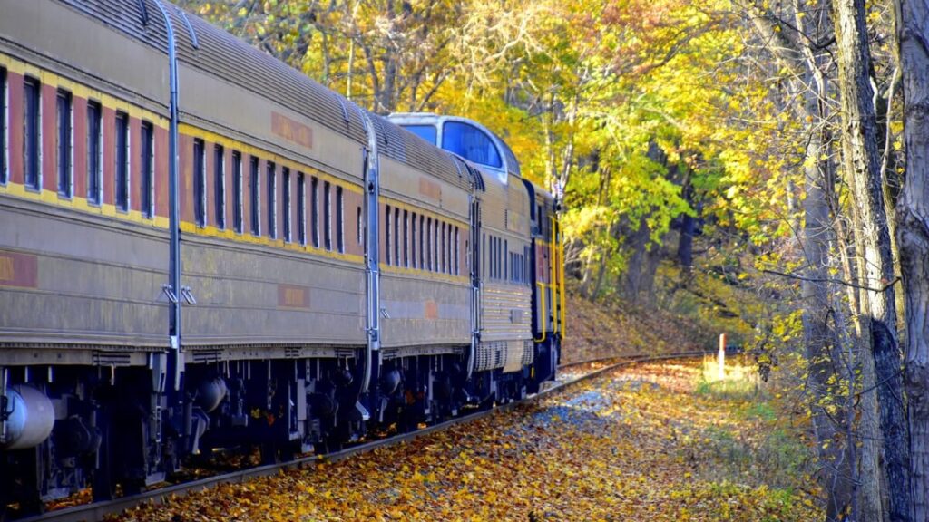 A Cuyahoga Valley Scenic Railroad train traveling through fall foliage in Ohio