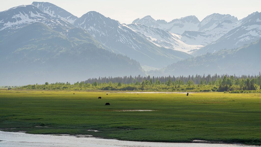 The Bear Camp private panoramic viewing deck overlooks sedge meadows, pine forests, and the Aleutian range_by Stephanie Vermillion