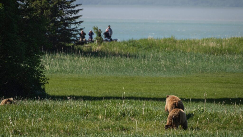 Travelers watch bears from a Lake Clark National Park overlook_