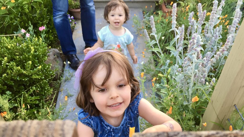 child holding a flower while her sister runs behind her