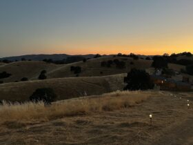 view of the sunset from Wildhaven Yosemite glamping resort