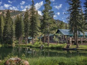 Family Vacationist Emerald Valley Ranch Thornell