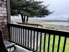 view of Bodega Bay from private Balcony at the lodge at Bodega Bay