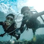 Underwater shot of two people diving